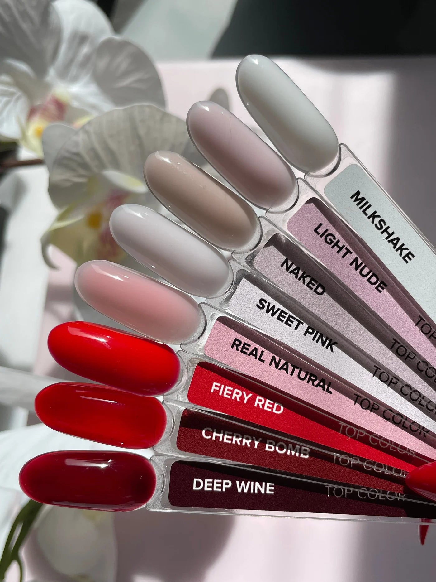 ALBI - Top coat COLOR